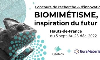 Biomimétisme – Inspiration du futur