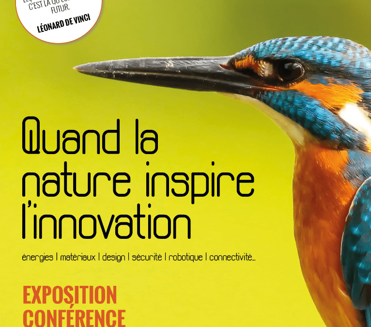 Quand la nature inspire l’innovation